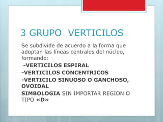 Vertificilo 3ER CLASE PALAMETOSCOPIA PALMER POND (1)-1.pptx