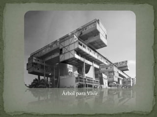 Árbol para Vivir
 