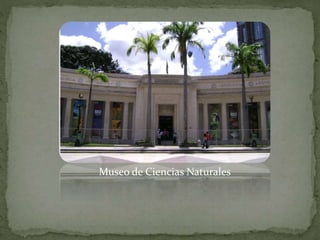 Museo de Ciencias Naturales
 