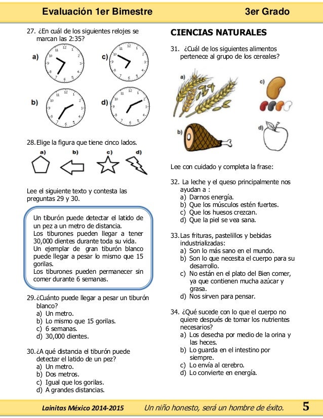 Lainitas Mexico 2014 Y 2015 Contestado Examenes Lainitas 2016 2017 Gratis - Libros Favorito