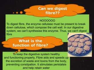 Can we digest 
fibre?? 
NOOOOOO 
To digest fibre, the enzyme cellulase must be present to break 
down cellulose, which compose the cell wall. In our digestive 
system, we can't synthesise this enzyme. Thus, we can't digest 
fibre 
What is the 
function of fibre? 
To keep the digestive system healthy 
and functioning properly. Fibre aids and speeds up 
the excretion of waste and toxins from the body, 
preventing constipation. It stimulates peristalsis 
and help retain water 
 