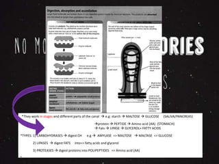 *They work in stages and different parts of the canal  e.g: starch  MALTOSE  GLUCOSE (SALIVA/PANCREAS) 
protein  PEPTIDE  Amino acid (AA) (STOMACH) 
 Fats  LIPASE  GLYCEROL+ FATTY ACIDS 
*TYPES: 1) CARBOHYDRASES  digest CH e.g  AMYLASE => MALTOSE  MALTASE => GLUCOSE 
2) LIPASES  digest FATS into=> fatty acids and glycerol 
3) PROTEASES  digest proteins into POLIPEPTIDES => Amino acid (AA) 
* 
 