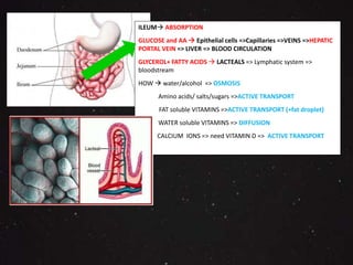 ILEUM ABSORPTION 
GLUCOSE and AA  Epithelial cells =>Capillaries =>VEINS =>HEPATIC 
PORTAL VEIN => LIVER => BLOOD CIRCULATION 
GLYCEROL+ FATTY ACIDS  LACTEALS => Lymphatic system => 
bloodstream 
HOW  water/alcohol => OSMOSIS 
Amino acids/ salts/sugars =>ACTIVE TRANSPORT 
FAT soluble VITAMINS =>ACTIVE TRANSPORT (+fat droplet) 
WATER soluble VITAMINS => DIFFUSION 
CALCIUM IONS => need VITAMIN D => ACTIVE TRANSPORT 
 