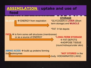 ASSIMILATION : uptake and use of 
food 
STORAGE 
GLUCOSE  ENERGY from respiration *GLYCOGEN in LIVER (Short 
term storage) and MUSCLE 
*FAT  fat depots 
FATS  to form some cell structures (membranes) 
or as a source of ENERGY *LONG-TERM STORAGE 
 FAT DEPOTS 
ADIPOSE TISSUE 
(round kidneys/under skin) 
AMINO ACIDS  build up proteins forming 
tissues/enzymes *NOT STORED in the 
body DEAMINATED (-NH2) 
 
