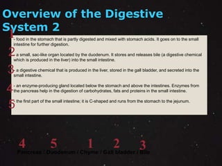 Overview of the Digestive 
System 2 
- food in the stomach that is partly digested and mixed with stomach acids. It goes on to the small 
intestine for further digestion. 
2 
- a small, sac-like organ located by the duodenum. It stores and releases bile (a digestive chemical 
which is produced in the liver) into the small intestine. 
- a digestive chemical that is produced in the liver, stored in the gall bladder, and secreted into the 
small intestine. 
- an enzyme-producing gland located below the stomach and above the intestines. Enzymes from 
the pancreas help in the digestion of carbohydrates, fats and proteins in the small intestine. 
- the first part of the small intestine; it is C-shaped and runs from the stomach to the jejunum. 
4 5 1 2 3 
Pancreas / Duodenum / Chyme / Gall bladder / Bile 
1 
3 
4 
5 
 