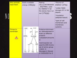 Why animals 
need them 
Easily available 
energy (16kj/g) 
Making 
CELLS,ANTIBODIES 
, ENZYMES; used 
for ENERGY if all 
the stores have run 
out (17kj/g) 
*Source of 
ENERGY (37kj) 
*LONG TERM 
storage of E in fat 
depots 
*insulation 
(adipose tissue) 
*part of cell 
membrane and 
membrane 
systems 
Things to 
remember 
ProteinsAminoaci 
ds bloodstream 
build up different 
proteins 
(cytoplasm/enzyme 
s) 
aminoacids not 
usedLiVERremo 
val of amino group 
(-NH2)  
Glycogen Stored 
or OXIDIZED for E 
SUGAR 
GLUCOSE 
 
