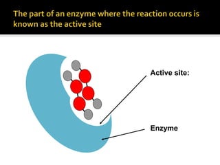 Active site:
Enzyme
 