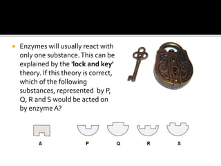  Enzymes will usually react with
only one substance.This can be
explained by the 'lock and key'
theory. If this theory is correct,
which of the following
substances, represented by P,
Q, R and S would be acted on
by enzyme A?
 