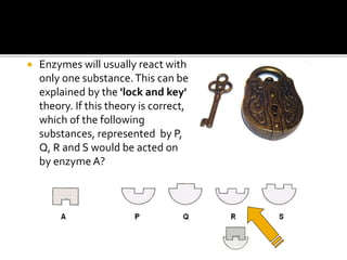  Enzymes will usually react with
only one substance.This can be
explained by the 'lock and key'
theory. If this theory is correct,
which of the following
substances, represented by P,
Q, R and S would be acted on
by enzyme A?
 
