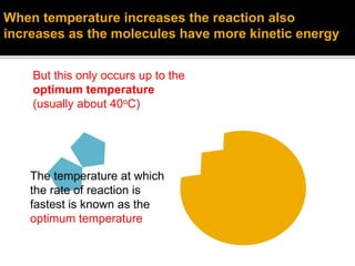 But this only occurs up to the
optimum temperature
(usually about 40oC)
The temperature at which
the rate of reaction is
fastest is known as the
optimum temperature
When temperature increases the reaction also
increases as the molecules have more kinetic energy
 