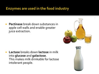  Pectinase break down substances in
apple cell walls and enable greater
juice extraction.
 Lactase breaks down lactose in milk
into glucose and galactose.
This makes milk drinkable for lactose
intolerant people.
 