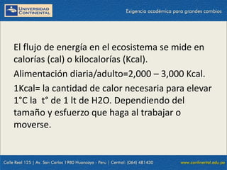 09/09/2014 10
El flujo de energía en el ecosistema se mide en
calorías (cal) o kilocalorías (Kcal).
Alimentación diaria/adulto=2,000 – 3,000 Kcal.
1Kcal= la cantidad de calor necesaria para elevar
1°C la t° de 1 lt de H2O. Dependiendo del
tamaño y esfuerzo que haga al trabajar o
moverse.
 
