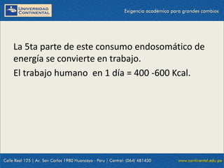 09/09/2014 11
La 5ta parte de este consumo endosomático de
energía se convierte en trabajo.
El trabajo humano en 1 día = 400 -600 Kcal.
 