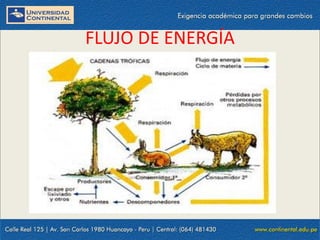 09/09/2014 15
FLUJO DE ENERGÍA
 