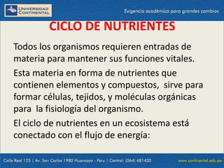 09/09/2014 16
CICLO DE NUTRIENTES
Todos los organismos requieren entradas de
materia para mantener sus funciones vitales.
Esta materia en forma de nutrientes que
contienen elementos y compuestos, sirve para
formar células, tejidos, y moléculas orgánicas
para la fisiología del organismo.
El ciclo de nutrientes en un ecosistema está
conectado con el flujo de energía:
 