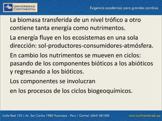 09/09/2014 17
La biomasa transferida de un nivel trófico a otro
contiene tanta energía como nutrimentos.
La energía fluye en los ecosistemas en una sola
dirección: sol-productores-consumidores-atmósfera.
En cambio los nutrimentos se mueven en ciclos:
pasando de los componentes bióticos a los abióticos
y regresando a los bióticos.
Los componentes se involucran
en los procesos de los ciclos biogeoquímicos.
 