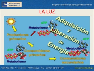 09/09/2014 24
LA LUZ
 