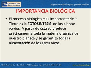 09/09/2014 26
IMPORTANCIA BIOLÓGICA
• El proceso biológico más importante de la
Tierra es la FOTOSÍNTESIS de las plantas
verdes. A partir de ésta se produce
prácticamente toda la materia orgánica de
nuestro planeta y se garantiza toda la
alimentación de los seres vivos.
 