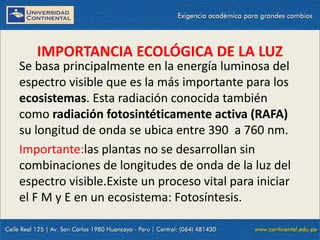 09/09/2014 27
IMPORTANCIA ECOLÓGICA DE LA LUZ
Se basa principalmente en la energía luminosa del
espectro visible que es la más importante para los
ecosistemas. Esta radiación conocida también
como radiación fotosintéticamente activa (RAFA)
su longitud de onda se ubica entre 390 a 760 nm.
Importante:las plantas no se desarrollan sin
combinaciones de longitudes de onda de la luz del
espectro visible.Existe un proceso vital para iniciar
el F M y E en un ecosistema: Fotosíntesis.
 