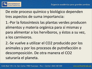 09/09/2014 29
De este proceso químico y biológico dependen
tres aspectos de suma importancia:
1.-Por la fotosíntesis las plantas verdes producen
alimentos y materia orgánica para sí mismas y
para alimentar a los hervíboros, y éstos a su vez,
a los carnívoros.
2.-Se vuelve a utilizar el CO2 producido por los
animales y por los procesos de putrefacción o
descomposición. De otra manera el CO2
saturaría el planeta.
 