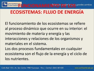 09/09/2014 3
FUNCIONAMIENTO DE LOS
ECOSISTEMAS: FLUJO DE ENERGÍA
El funcionamiento de los ecosistemas se refiere
al proceso dinámico que ocurre en su interior: el
movimiento de materia y energía y las
interacciones y relaciones de los organismos y
materiales en el sistema.
Los dos procesos fundamentales en cualquier
ecosistema son el flujo de la energía y el ciclo de
los nutrientes.
 