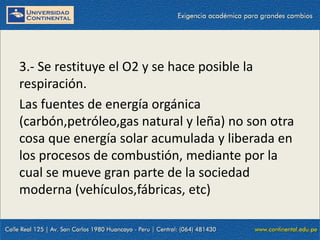 09/09/2014 30
3.- Se restituye el O2 y se hace posible la
respiración.
Las fuentes de energía orgánica
(carbón,petróleo,gas natural y leña) no son otra
cosa que energía solar acumulada y liberada en
los procesos de combustión, mediante por la
cual se mueve gran parte de la sociedad
moderna (vehículos,fábricas, etc)
 