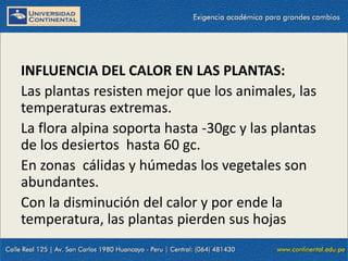 09/09/2014 50
INFLUENCIA DEL CALOR EN LAS PLANTAS:
Las plantas resisten mejor que los animales, las
temperaturas extremas.
La flora alpina soporta hasta -30gc y las plantas
de los desiertos hasta 60 gc.
En zonas cálidas y húmedas los vegetales son
abundantes.
Con la disminución del calor y por ende la
temperatura, las plantas pierden sus hojas
 