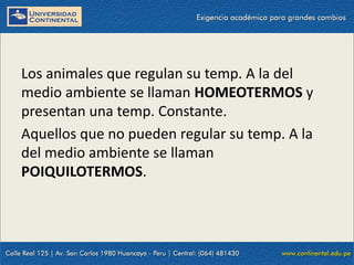 09/09/2014 52
Los animales que regulan su temp. A la del
medio ambiente se llaman HOMEOTERMOS y
presentan una temp. Constante.
Aquellos que no pueden regular su temp. A la
del medio ambiente se llaman
POIQUILOTERMOS.
 