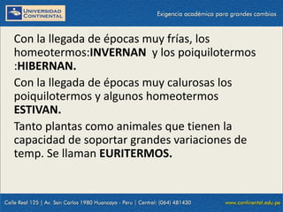 09/09/2014 53
Con la llegada de épocas muy frías, los
homeotermos:INVERNAN y los poiquilotermos
:HIBERNAN.
Con la llegada de épocas muy calurosas los
poiquilotermos y algunos homeotermos
ESTIVAN.
Tanto plantas como animales que tienen la
capacidad de soportar grandes variaciones de
temp. Se llaman EURITERMOS.
 
