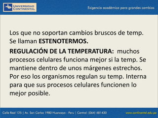09/09/2014 54
Los que no soportan cambios bruscos de temp.
Se llaman ESTENOTERMOS.
REGULACIÓN DE LA TEMPERATURA: muchos
procesos celulares funciona mejor si la temp. Se
mantiene dentro de unos márgenes estrechos.
Por eso los organismos regulan su temp. Interna
para que sus procesos celulares funcionen lo
mejor posible.
 