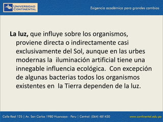 09/09/2014 56
La luz, que influye sobre los organismos,
proviene directa o indirectamente casi
exclusivamente del Sol, aunque en las urbes
modernas la iluminación artificial tiene una
innegable influencia ecológica. Con excepción
de algunas bacterias todos los organismos
existentes en la Tierra dependen de la luz.
 