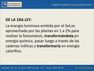 09/09/2014 6
DE LA 1RA.LEY:
La energía luminosa emitida por el Sol,es
aprovechada por las plantas en 1 a 2% para
realizar la fotosíntesis, transformándola,en
energía química, pasar luego a través de las
cadenas tróficas y transformarla en energía
calorífica.
 