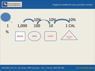 09/09/2014 9
B 10% 10% 10%
1 1,000 100 10 1 CAL
%
PASTO VACA HOMBRE DESINTEGRA
DORES
 