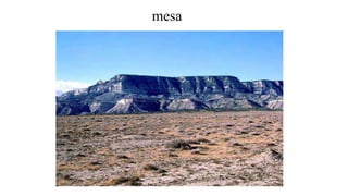 mesa