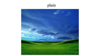 plain