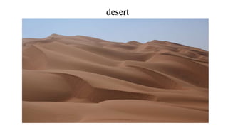 desert
