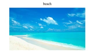beach
 