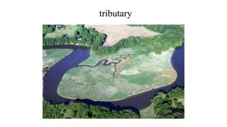 tributary