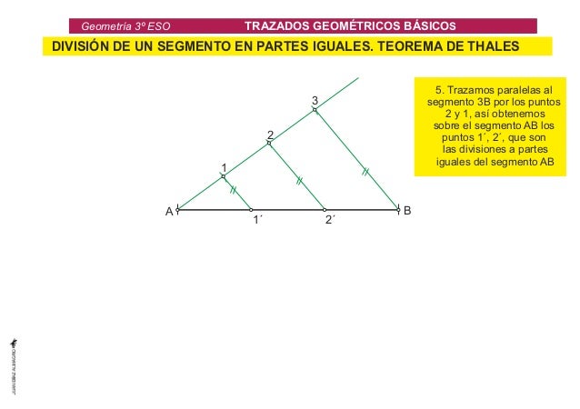 T2G. eToRmAeZtArÃ­aD O3ÂºS E FSUON D A M E N T A L E S T ERNA ZEAL DPOLASN GOE. POaMraÃ‰leTlRasIC, POeSrp BenÃdSicICuOlaSres,...