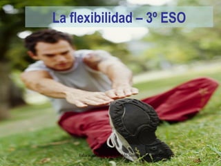 La flexibilidad – 3º ESO




    Educación física IES Pablo Serrano, Andorra (Teruel)   1
 