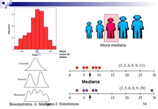 Tema 2: Estadísticos 14Bioestadística. U. Málaga.
Altura mediana
 