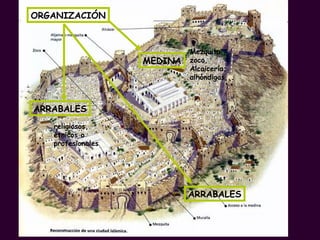 ORGANIZACIÓN MEDINA Mezquita, zoco, Alcaicería; alhóndigas,... ARRABALES religiosos, étnicos o profesionales ARRABALES 