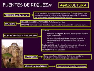 FUENTES DE RIQUEZA:  1/5 de las tierras de cultivo (Jums) pertenecía al Estado y el resto a los conquistadores que la explotaron en régimen de  aparcería  . El cultivador (xaric) entregaba parte de la cosecha al propietario PROPIEDAD de la tierra CULTIVOS : SECANO  GRANDES LATIFUNDIOS: Trilogía mediterránea  HUERTAS : manzanas, peras, almendros, higueras, albaricoque, azafrán, berenjena, agrios... NUEVAS TÉCNICAS Y PRODUCTOS Técnicas :  Extensión del  regadío . Acequias, norias y canalización de aguas subterráneas Introducción de la  sericultura , debida a los sirios, a mediados del siglo VII y su asociación al cultivo de moreras.  Productos   tintóreos . El rojo de los insectos guermés y de la rubia (árbol), amarillo del azafrán y azul del añil.  Plantas   textiles : lino y algodón. Construcción de viviendas y atarazanas RECURSOS MADEREROS GANADERÍA Zonas montañosas del Sistema Central. Los  beréberes  practicaron la trashumancia(ovejas y caballos). AGRICULTURA 