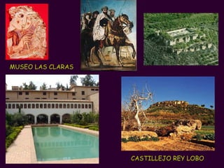 MUSEO LAS CLARAS CASTILLEJO REY LOBO 