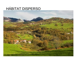 HÁBITAT DISPERSO
 