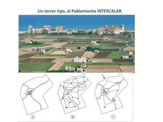 Un tercer tipo, el Poblamiento INTERCALAR.
 