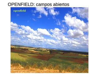 OPENFIELD: campos abiertos
 