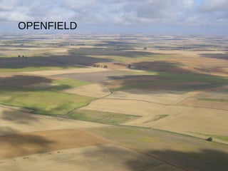 OPENFIELD
 