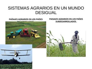 SISTEMAS AGRARIOS EN UN MUNDO
DESIGUAL
PAÍSAJES AGRARIOS EN LOS PAÍSES
DESARROLLADOS.
PAISAJES AGRARIOS EN LOS PAÍSES
SUBDESARROLLADOS.
 