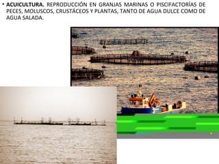 • ACUICULTURA. REPRODUCCIÓN EN GRANJAS MARINAS O PISCIFACTORÍAS DE
PECES, MOLUSCOS, CRUSTÁCEOS Y PLANTAS, TANTO DE AGUA DULCE COMO DE
AGUA SALADA.
 